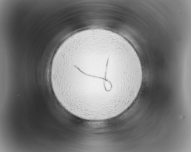 X0000089710856200707051700