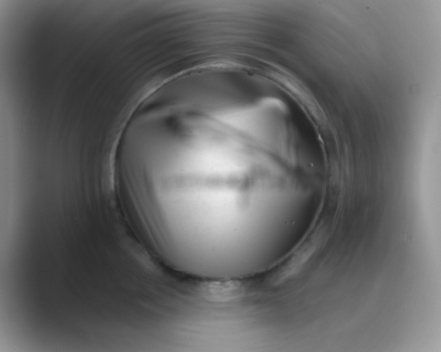 X0000089710858200707051700