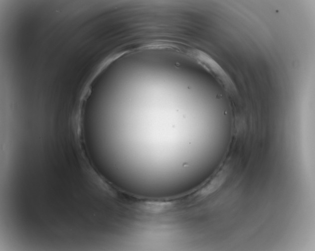 X0000089710860200707051700