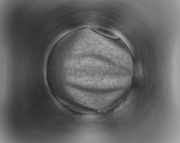 X0000089710861200707051700