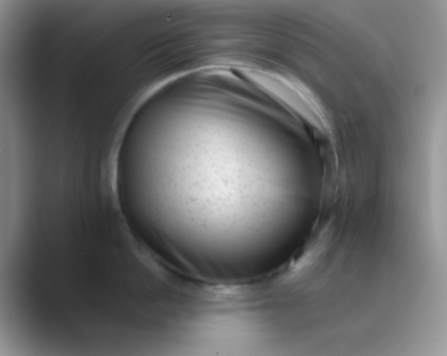 X0000089710862200707051700