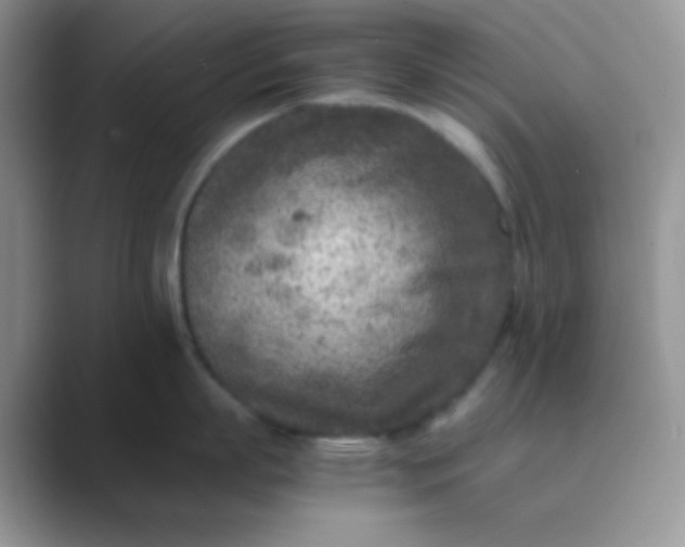 X0000089710863200707051700