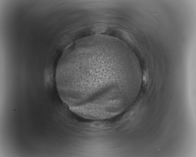 X0000089710867200707051700