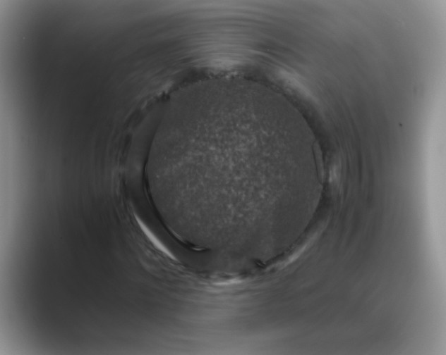 X0000089710868200707051700