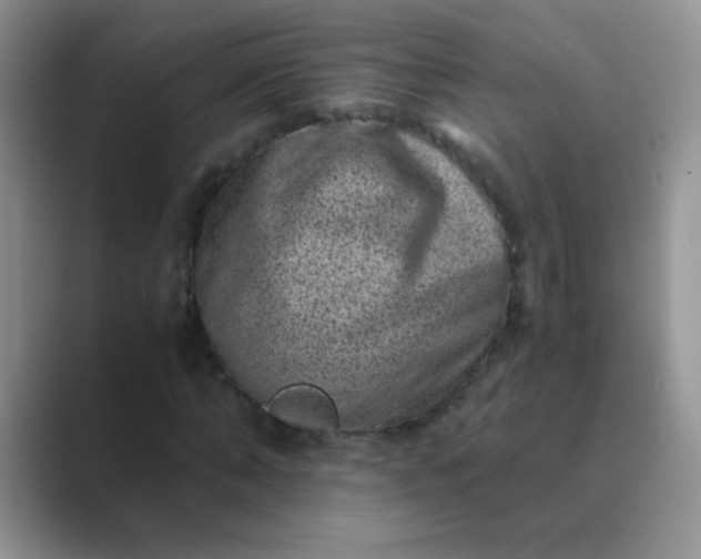 X0000089710870200707051700