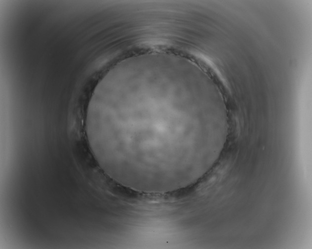 X0000089710871200707051700