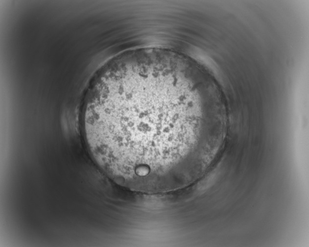 X0000089710875200707051700