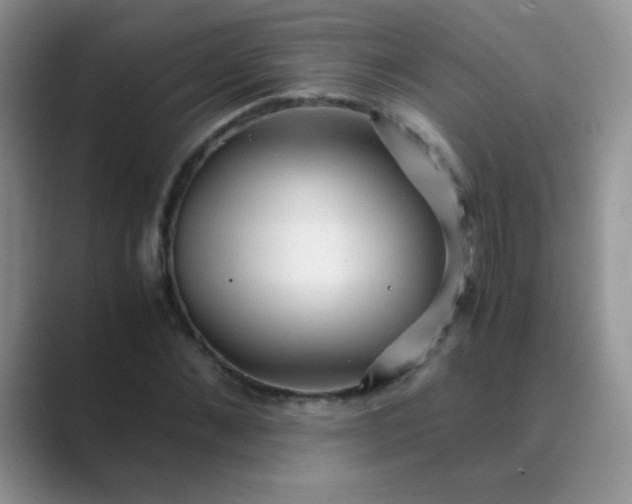 X0000089710876200707051700