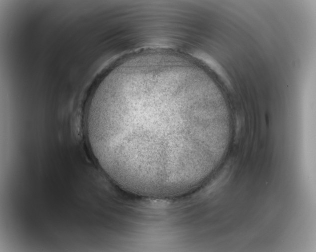 X0000089710878200707051700