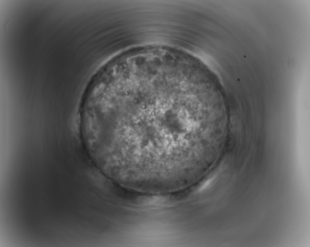 X0000089710879200707051700