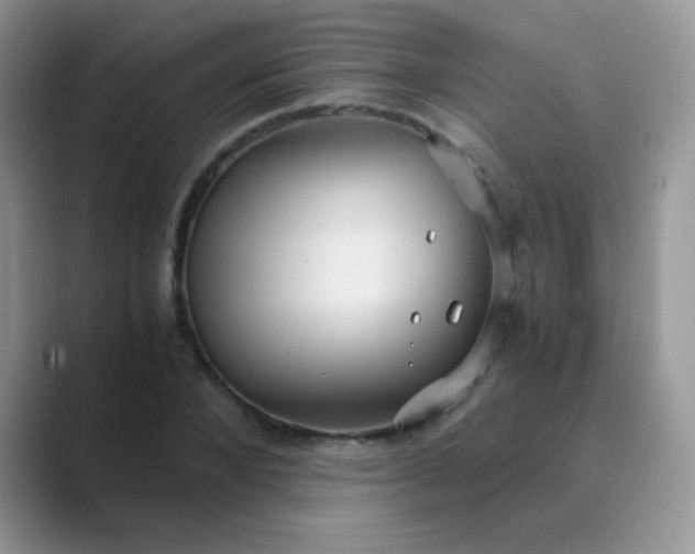 X0000089710880200707051700