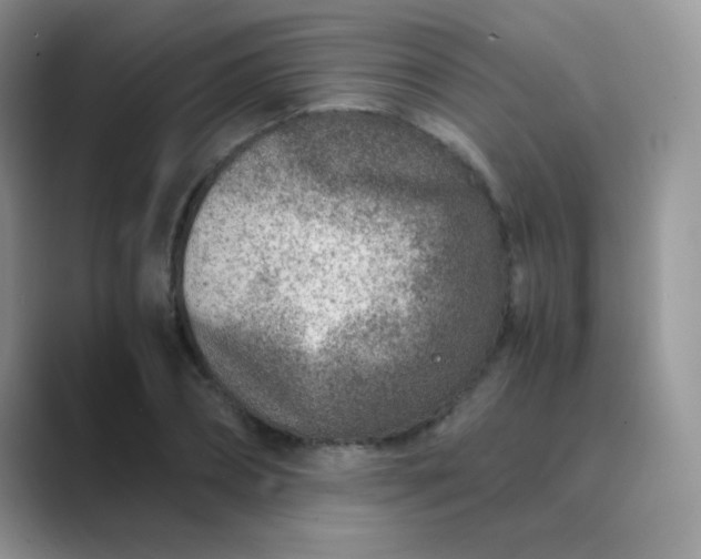 X0000089710882200707051659