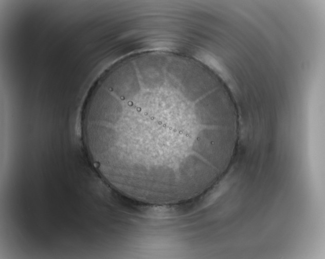 X0000089710883200707051659