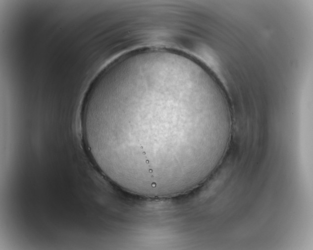 X0000089710887200707051659