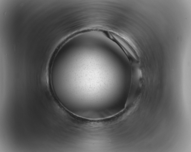 X0000089710888200707051659