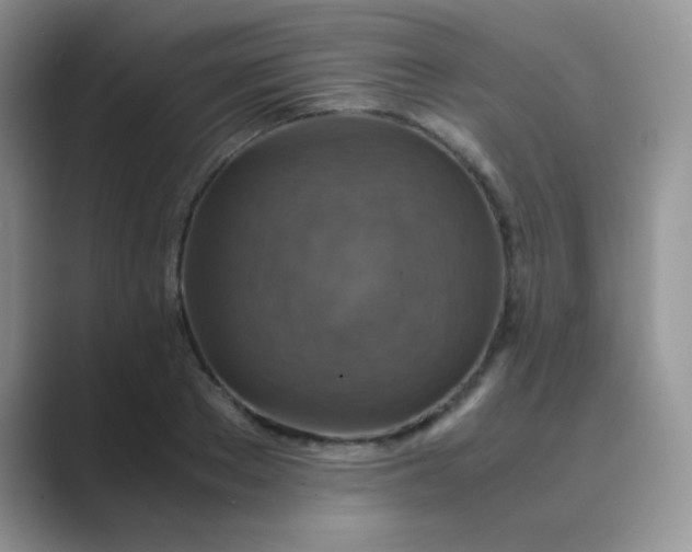 X0000089710889200707051659