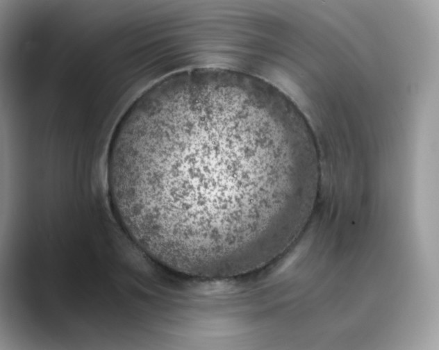 X0000089710891200707051659