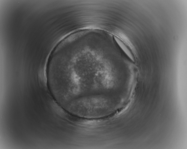 X0000089710892200707051659