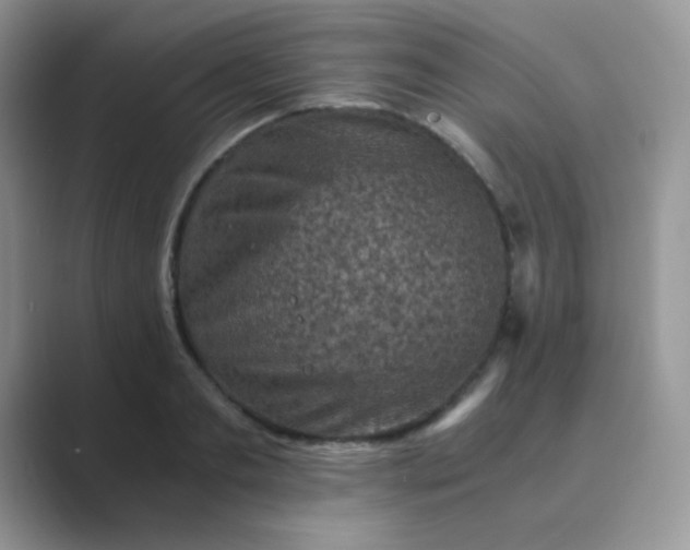 X0000089710893200707051659