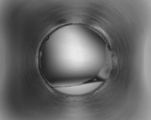 X0000089710894200707051659