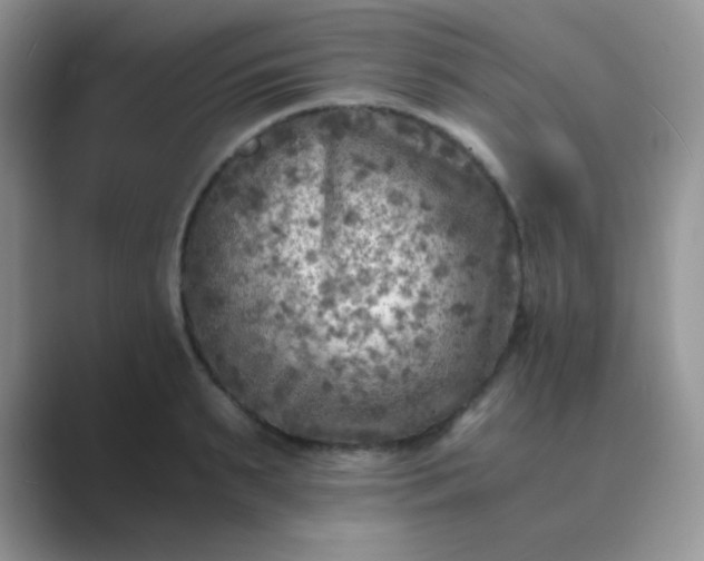 X0000089710895200707051659