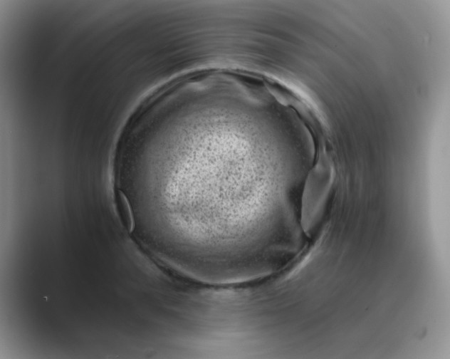 X0000089710896200707051659