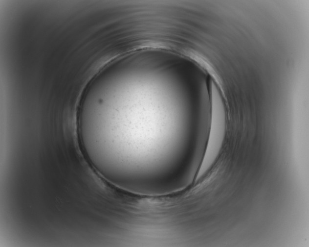 X0000089710898200707051659