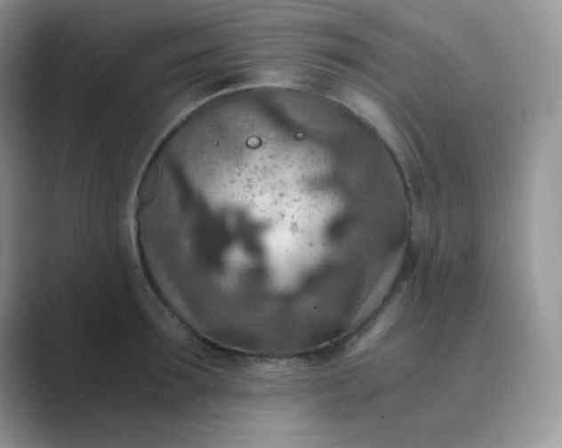 X0000089710899200707051659