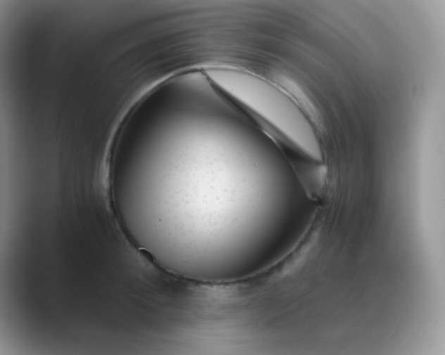 X0000089710900200707051659