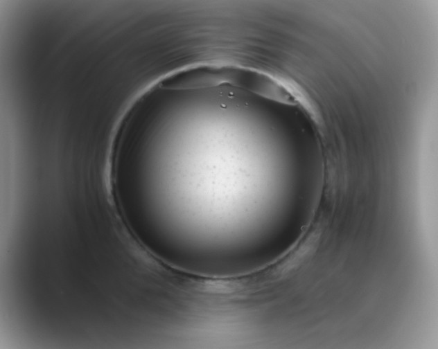 X0000089710904200707051659