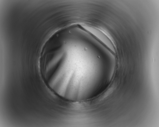 X0000089710906200707051659