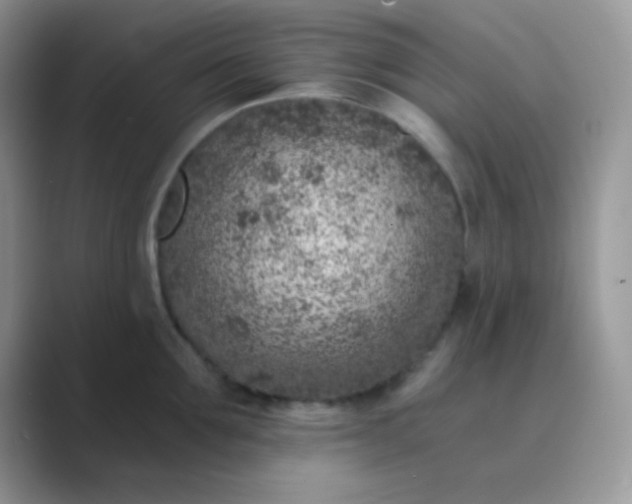 X0000089710907200707051659