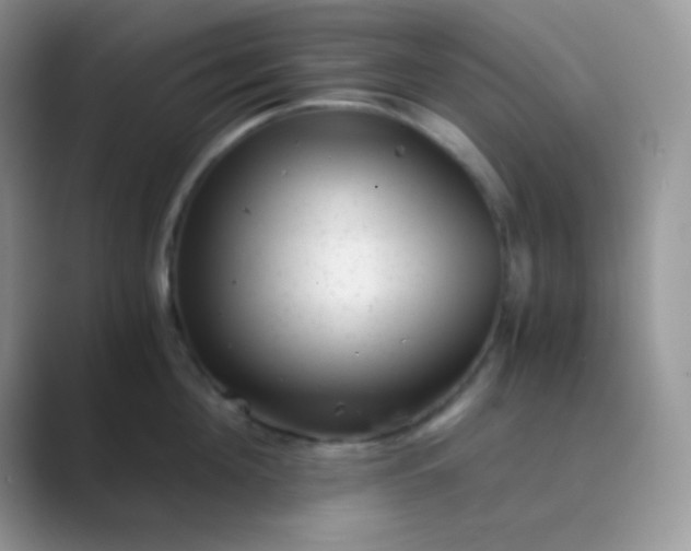 X0000089710908200707051659