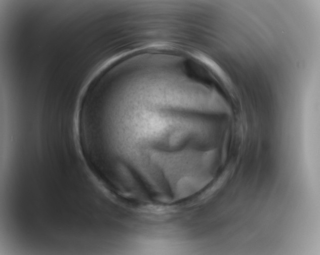 X0000089710910200707051659