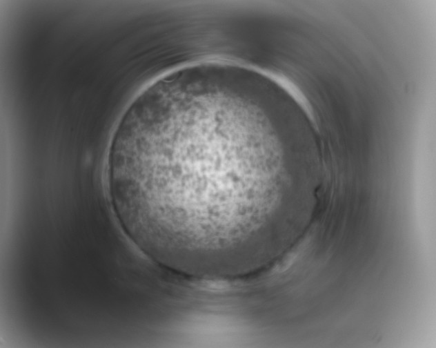 X0000089710911200707051659