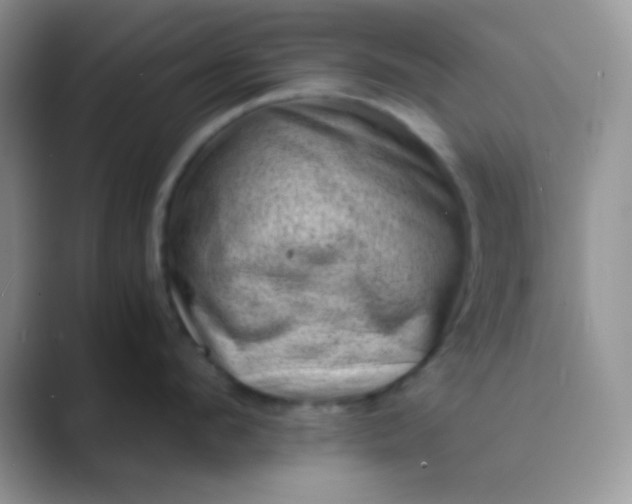 X0000089710912200707051659