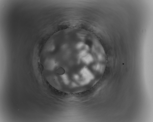 X0000089710913200707051659