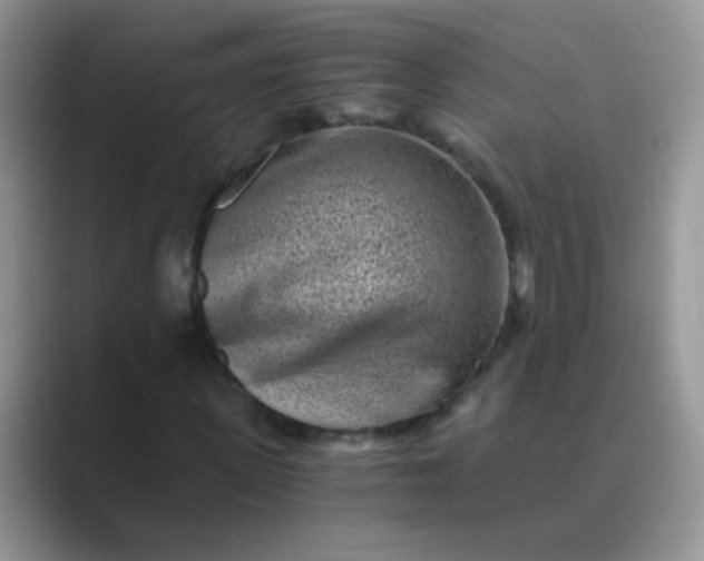 X0000089710915200707051659