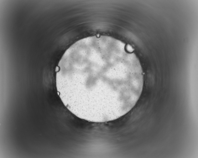 X0000089710918200707051659