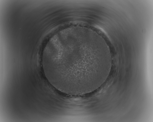 X0000089710919200707051659