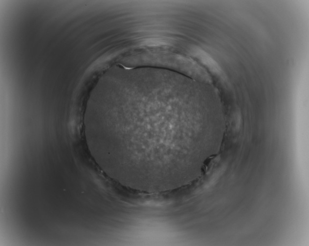 X0000089710920200707051659