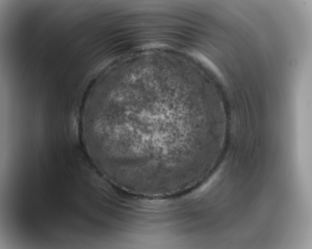 X0000089710921200707051659