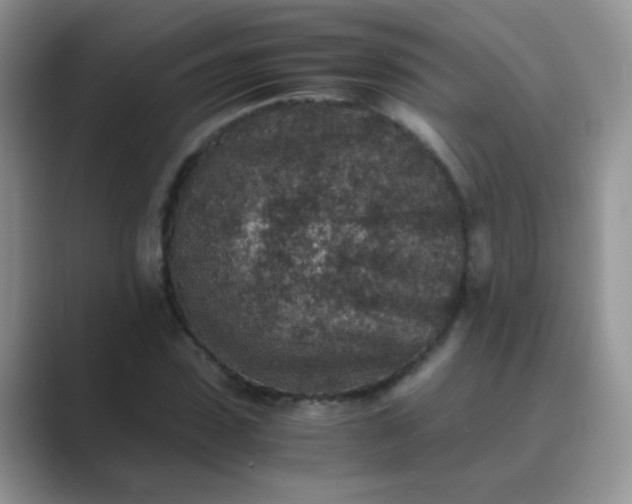 X0000089710923200707051659