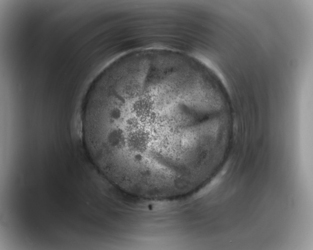 X0000089710925200707051659