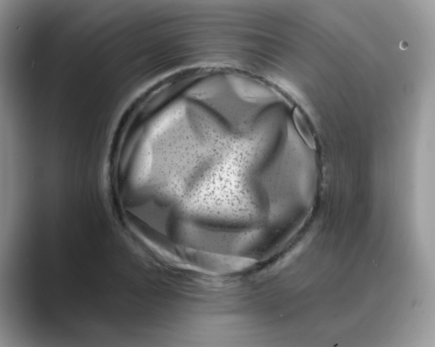 X0000089710928200707051659