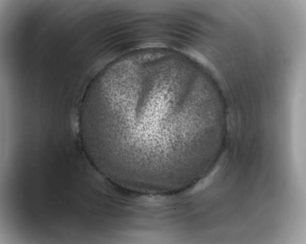 X0000089710929200707051659