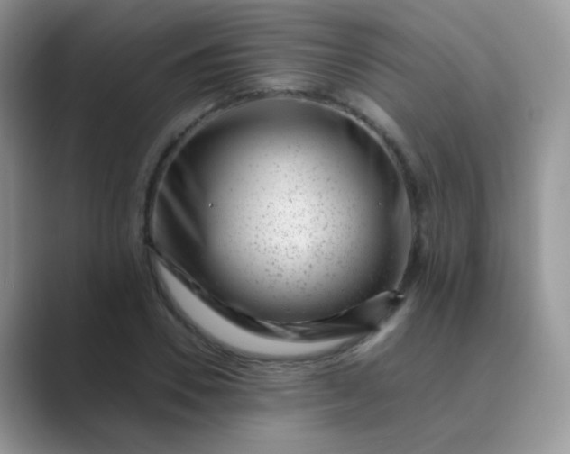 X0000089710930200707051659