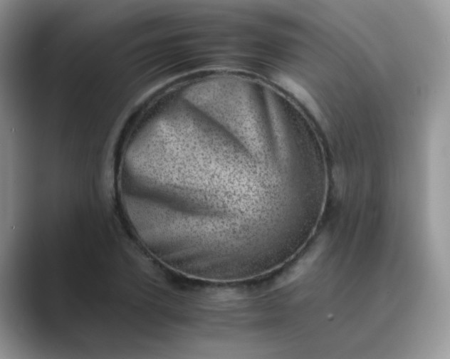 X0000089710931200707051659