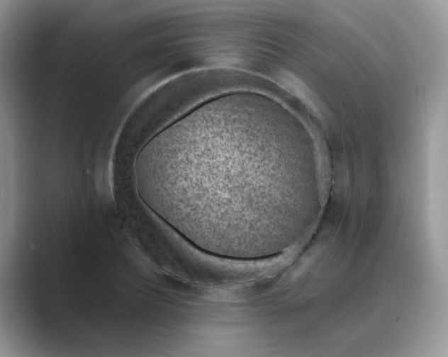 X0000089710932200707051659