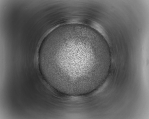 X0000089710933200707051659